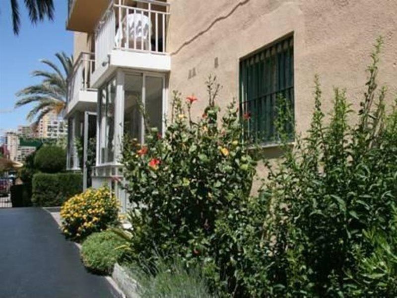 Apartamentos Palm Court Benidorm Eksteriør billede