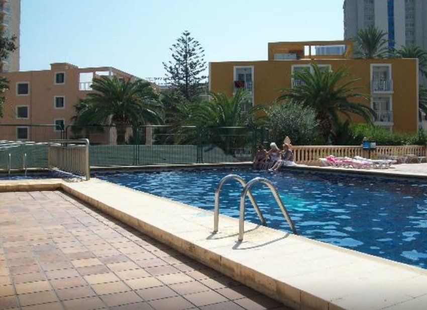 Apartamentos Palm Court Benidorm Eksteriør billede