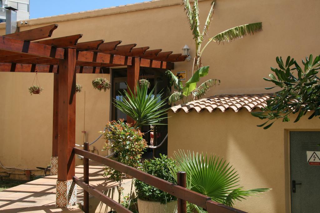 Apartamentos Palm Court Benidorm Eksteriør billede