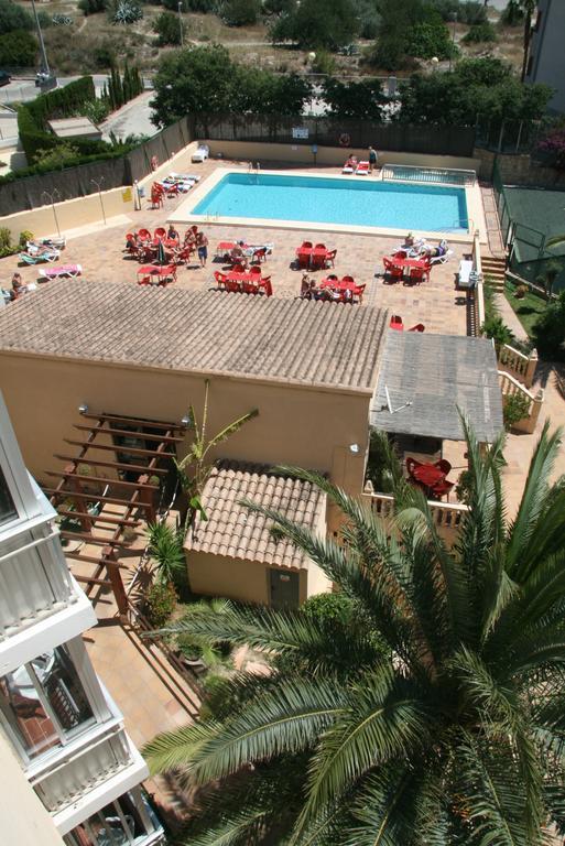 Apartamentos Palm Court Benidorm Eksteriør billede