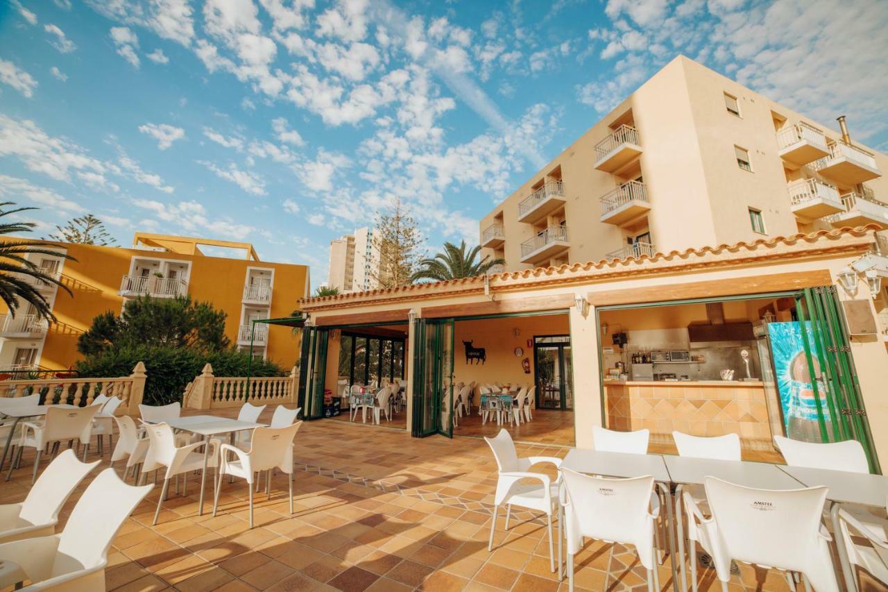 Apartamentos Palm Court Benidorm Eksteriør billede