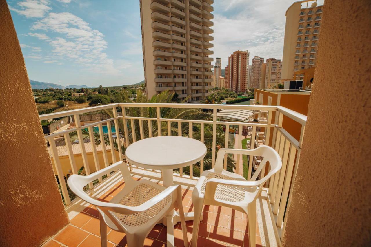 Apartamentos Palm Court Benidorm Eksteriør billede
