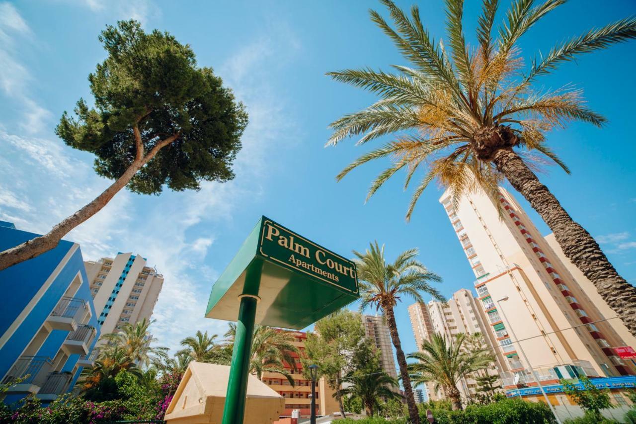 Apartamentos Palm Court Benidorm Eksteriør billede
