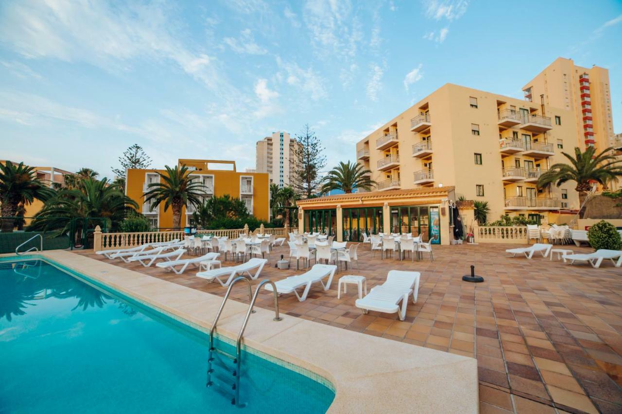 Apartamentos Palm Court Benidorm Eksteriør billede